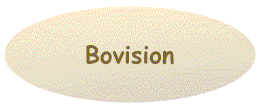 Bovision